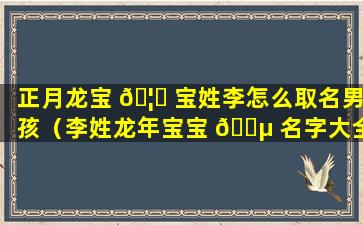 正月龙宝 🦈 宝姓李怎么取名男孩（李姓龙年宝宝 🌵 名字大全男孩）